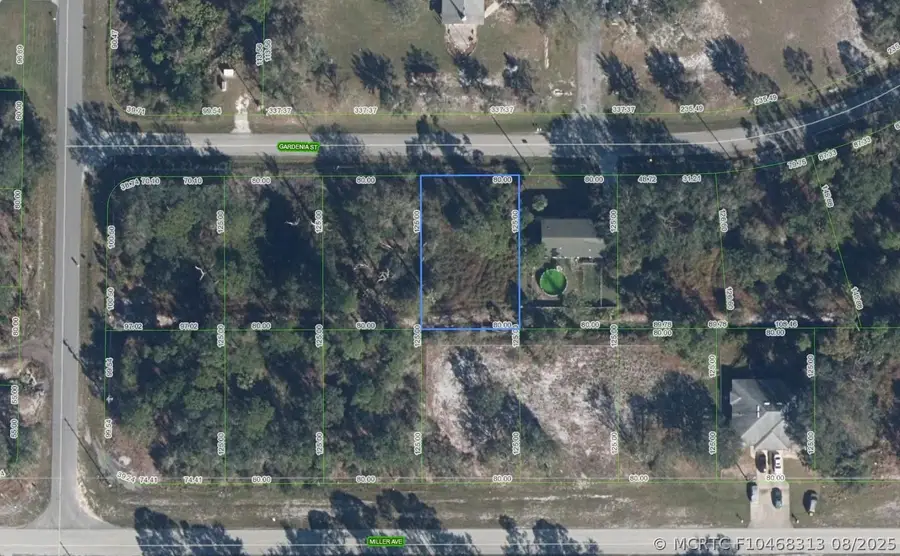 805 Gardenia Street, Lake Placid, FL 33852 - #2