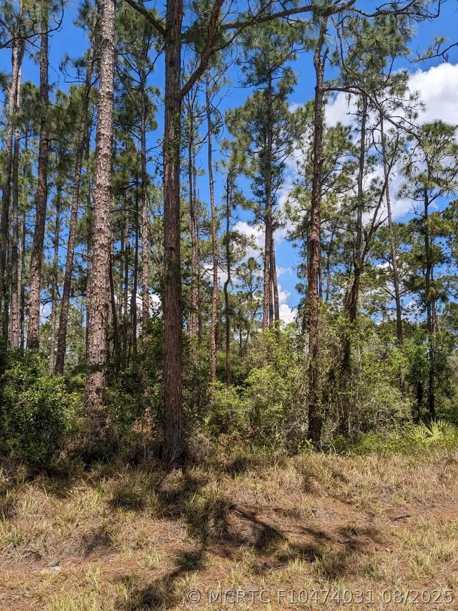 430 Apple Blossom Avenue, Lake Placid, FL 33852 - #3