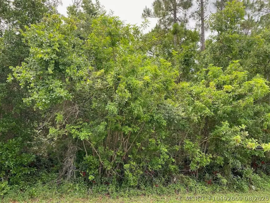 2351 Allamanda Drive, Indian Lake Estates, FL 33855 - #3