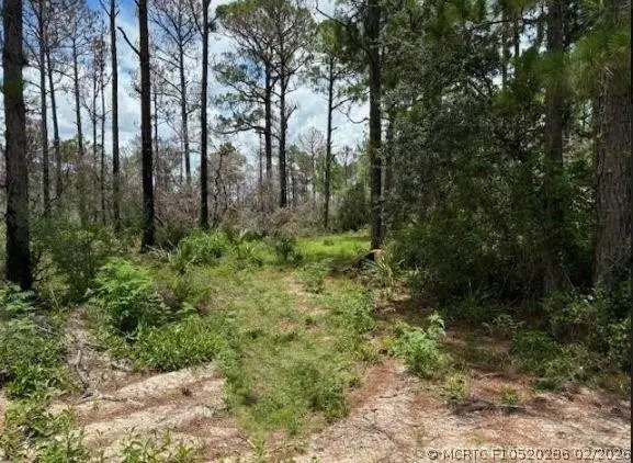 328 Claverton Drive, Lake Placid, FL 33852 - #1