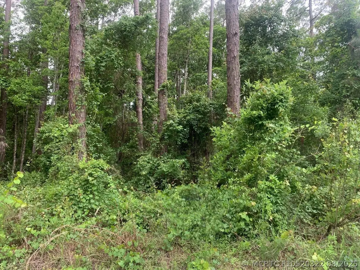 121 Coot Drive, Satsuma, FL 32148 - #1