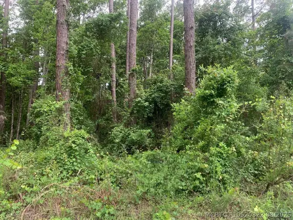121 Coot Drive, Satsuma, FL 32148