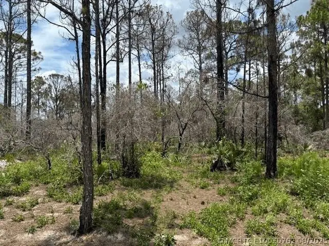 0 Claverton Drive, Lake Placid, FL 33852 - #1