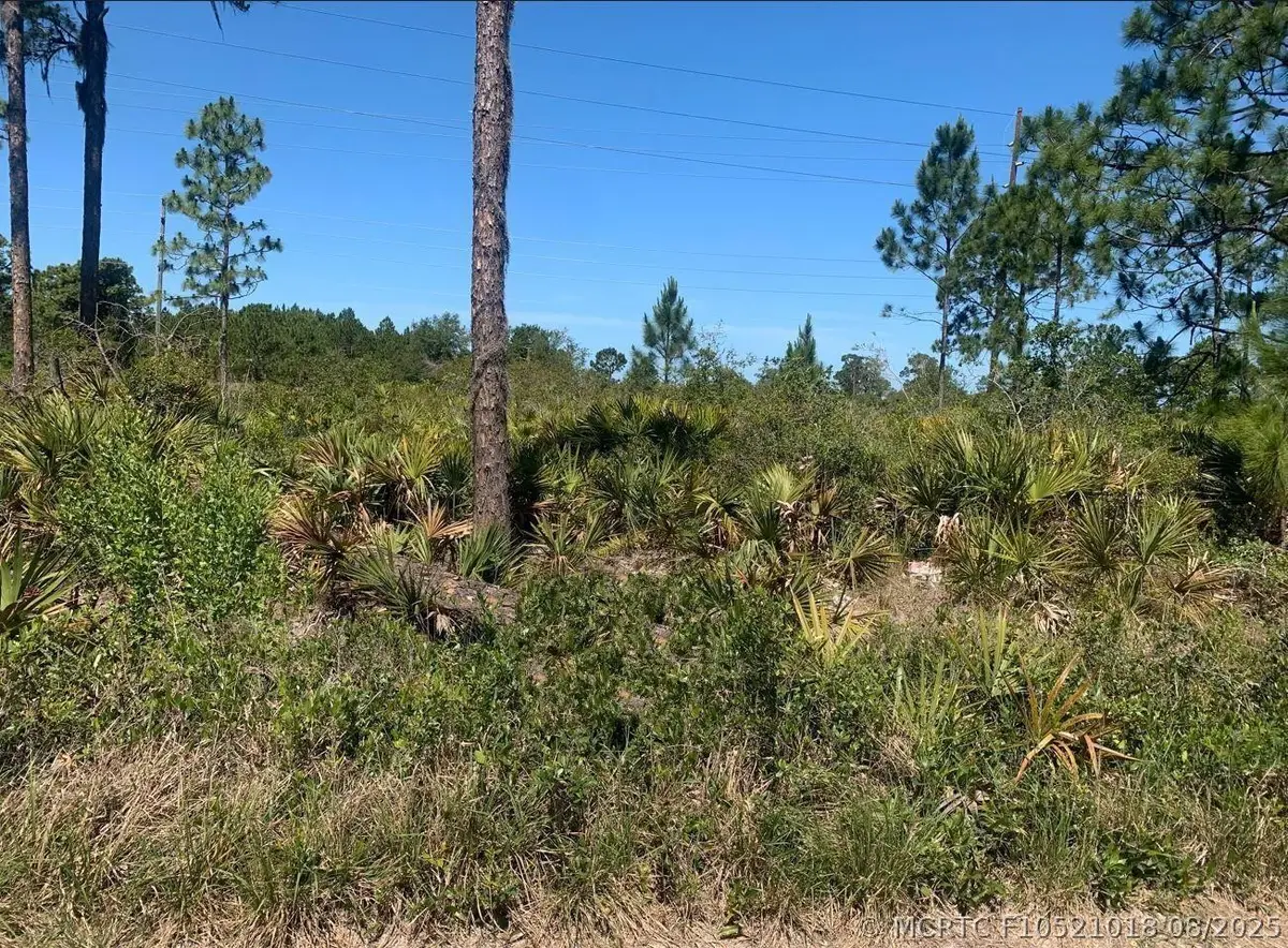 329 Phesant Boulevard, Sebring, FL 33872 - #1