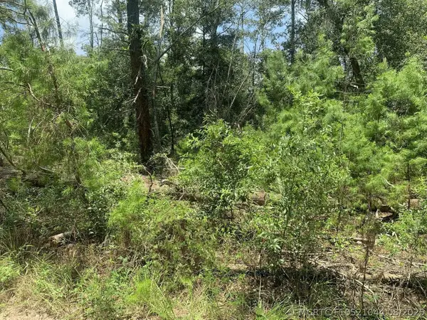111 New York Avenue, Satsuma, FL 32148