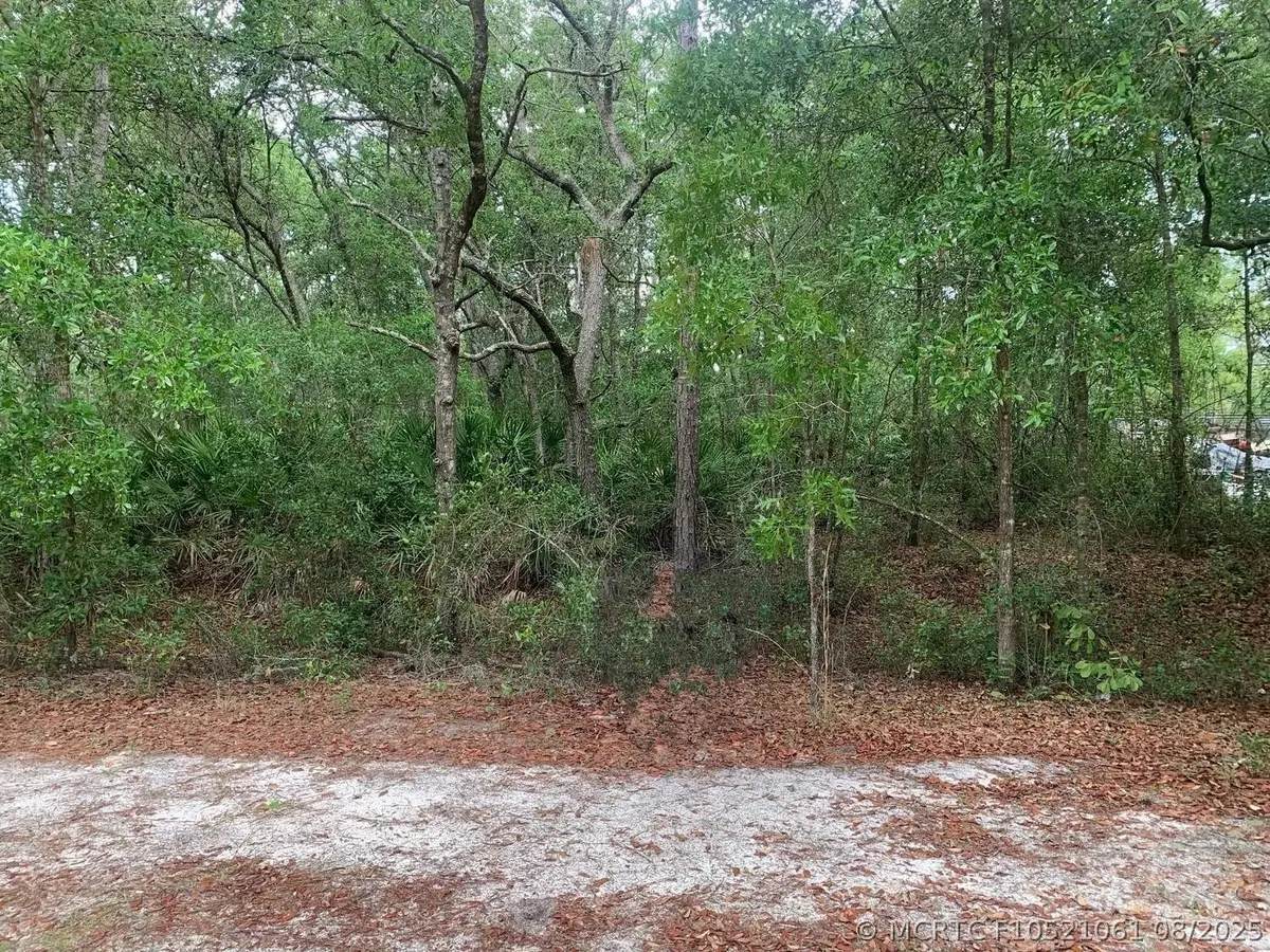 209 Highline Trail, Satsuma, FL 32189 - #1