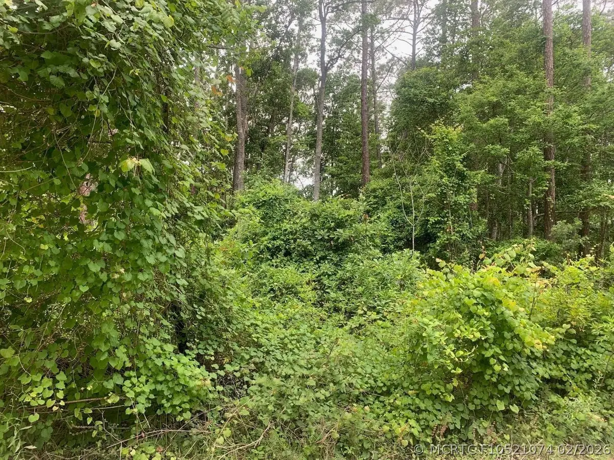 123 Coot Road, Satsuma, FL 32189 - #1
