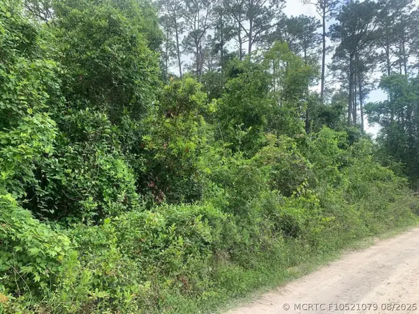 0 Coot Drive, Satsuma, FL 32189
