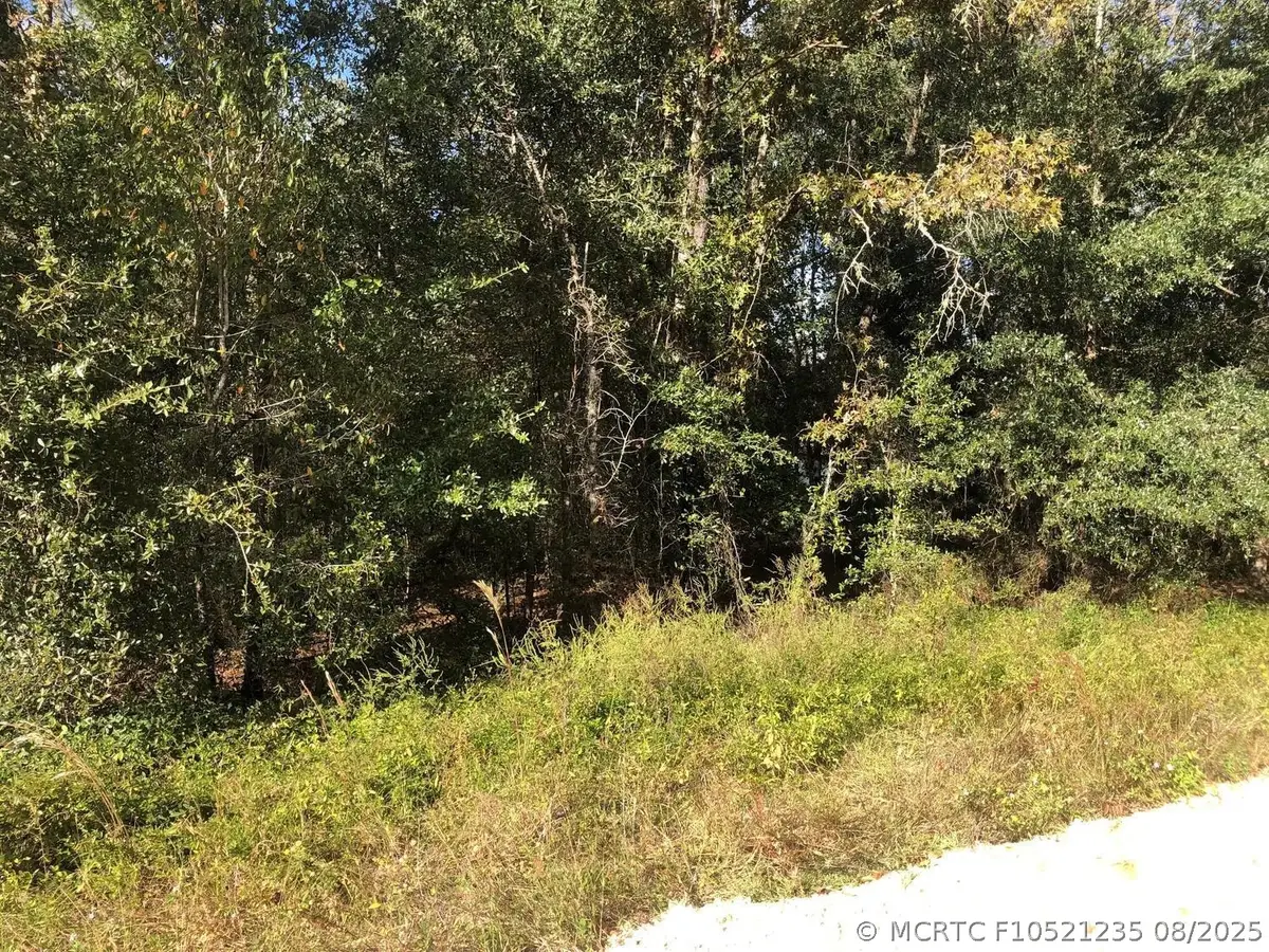 0 Evans Avenue, Interlachen, FL 32148 - #1