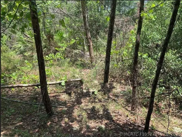 213 Kansas Street, Satsuma, FL 32189