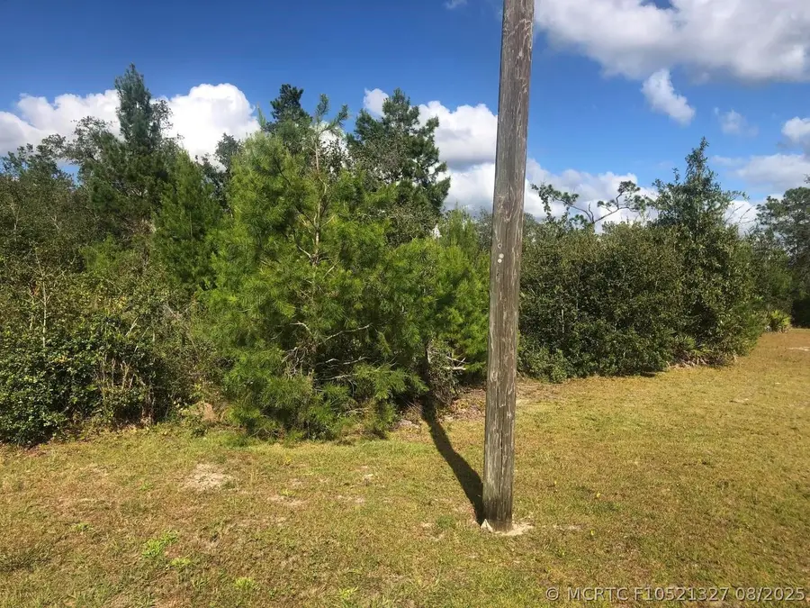 204 Usina Avenue, Interlachen, FL 32148 - #2