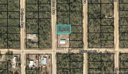 204 Usina Avenue, Interlachen, FL 32148 - #3