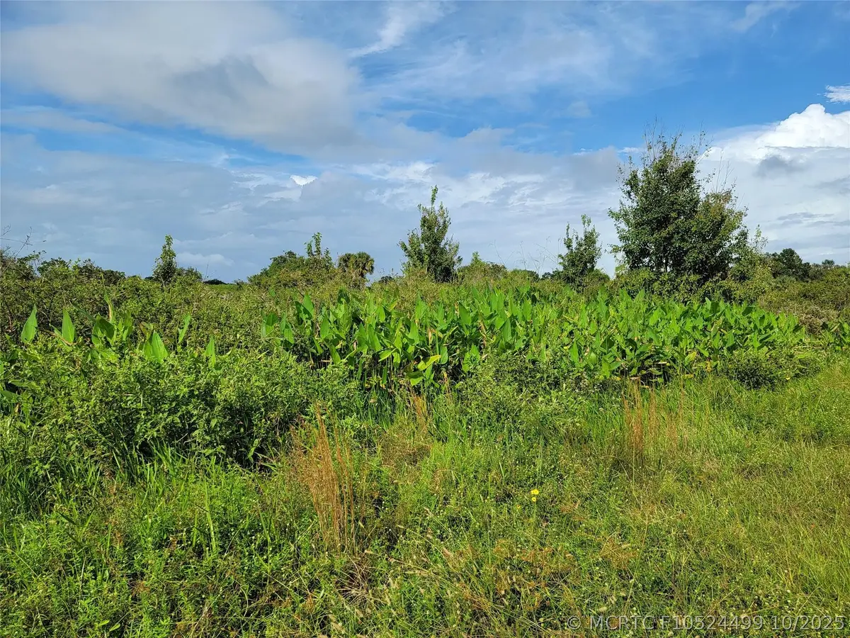 17275 NW 260th Street, Okeechobee, FL 34972 - #1
