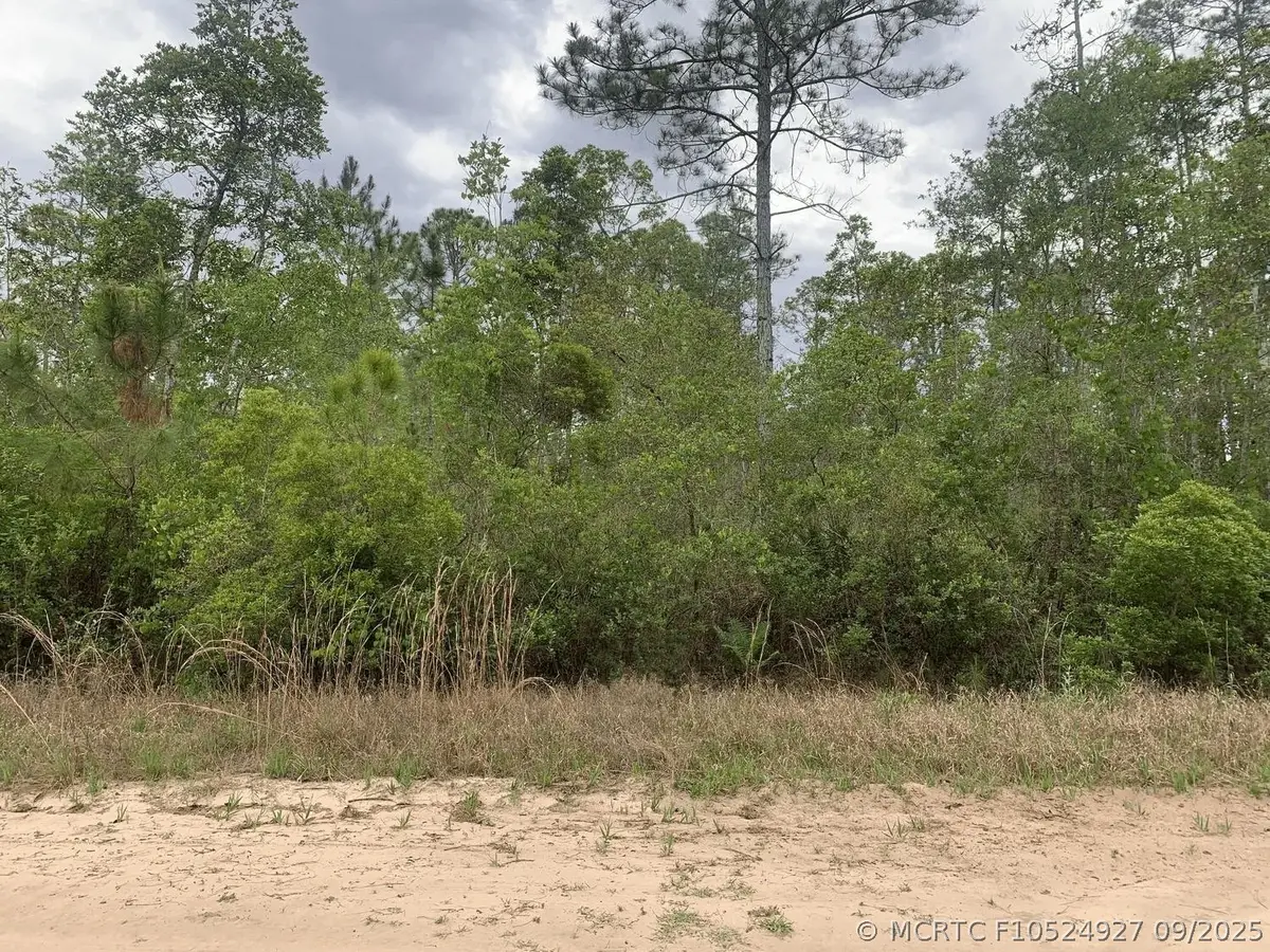 0 W Basford Street, Interlachen, FL 32148 - #1