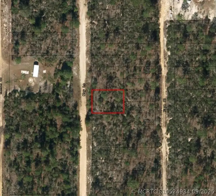 0 May Lane, Interlachen, FL 32148 - #2