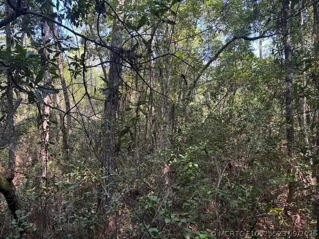 224 SE 8th Avenue, Palatka, FL 32177 - #2
