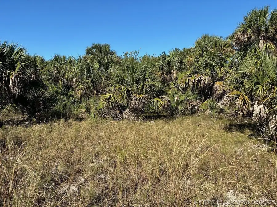 3223 SW Mockingbird Avenue, Palm Bay, FL 32908 - #2