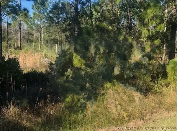 0 Kenansville, Okeechobee, FL 34739