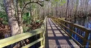 328 Hossler Avenue, Lake Placid, FL 33852 - #3