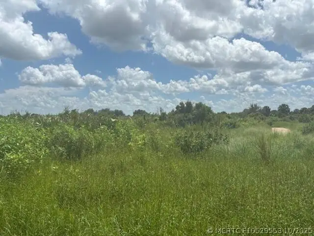 0 NW 316th Street, Okeechobee, FL 34972 - #1