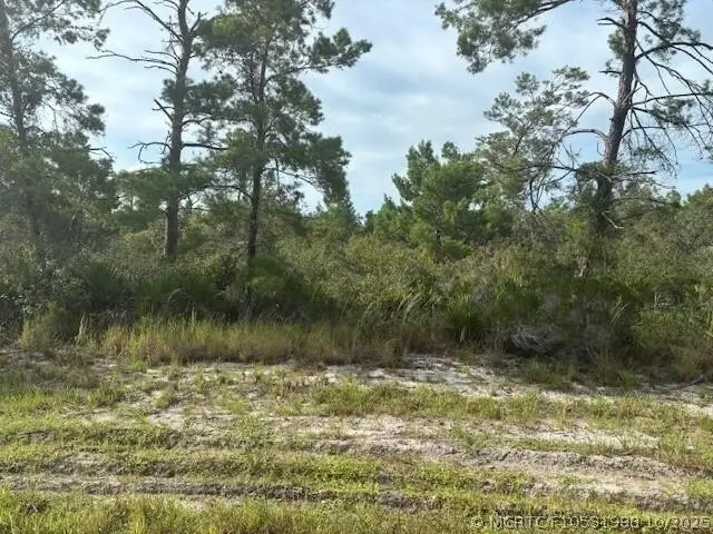 533 Boylston Street, Lake Placid, FL 33852 - #1