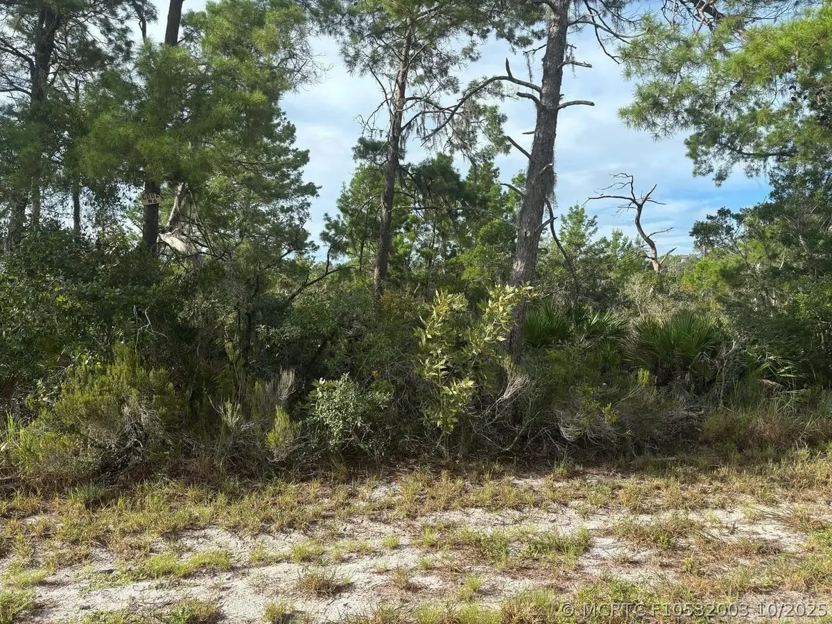 635 Boylston Street, Lake Placid, FL 33852 - #1