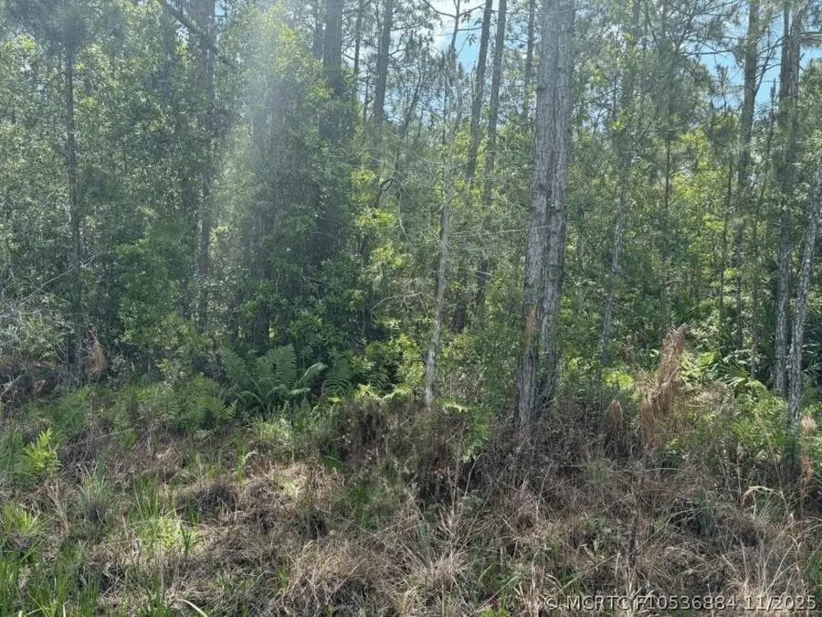 0 Holopaw Groves Road, Saint Cloud, FL 34772 - #2