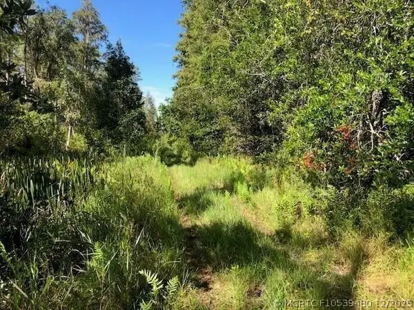 0 Old Grade Road, Polk City, FL 33868