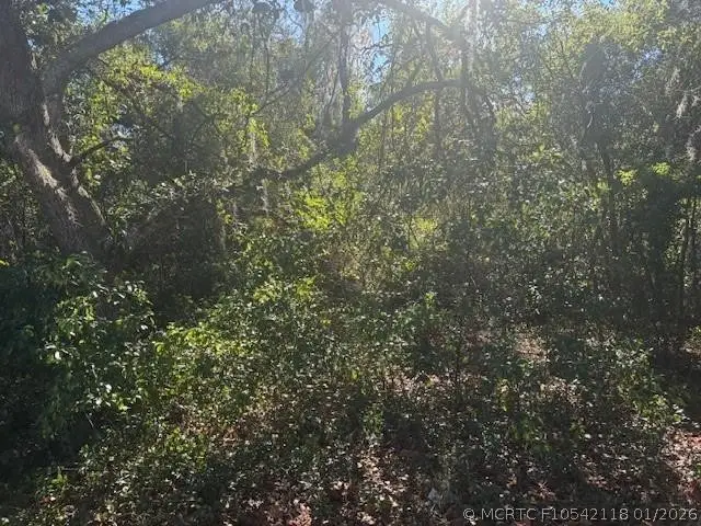 0 SE 157th Street, Umatilla, FL 32784 - #2