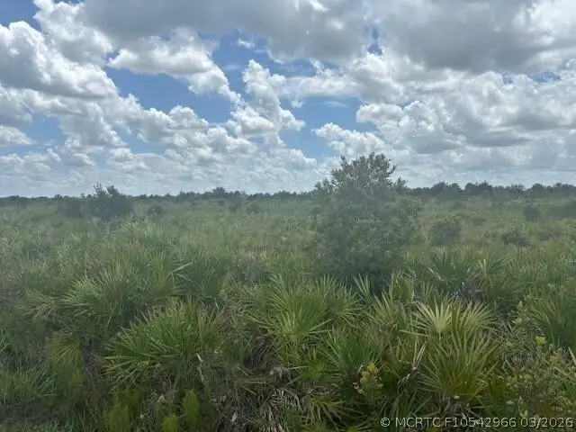 0 313th Street, Okeechobee, FL 34972 - #1