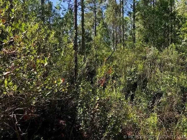 0 Old Grade Road, Polk City, FL 33868