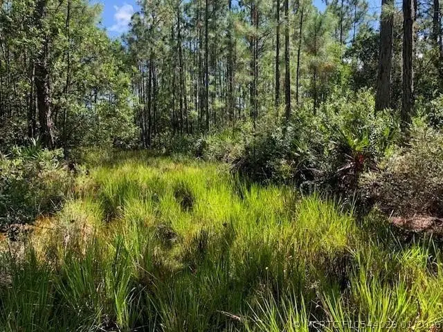 0 Old Grade Road, Polk City, FL 33868 - #3