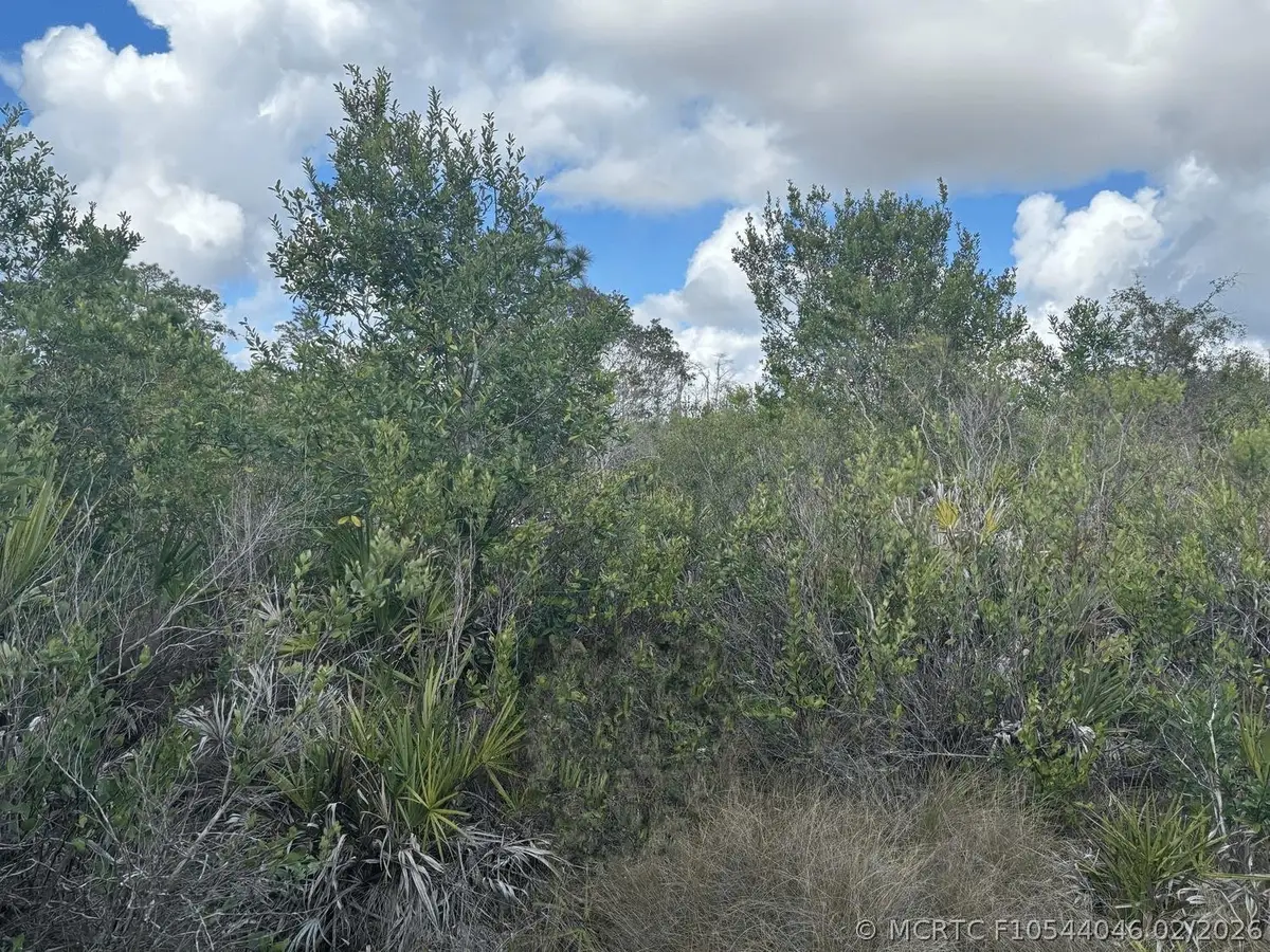 0 County Rd 54, Kathleen, FL 33849 - #1
