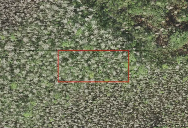 0 Holopaw Groves Road, St Cloud, FL 34772