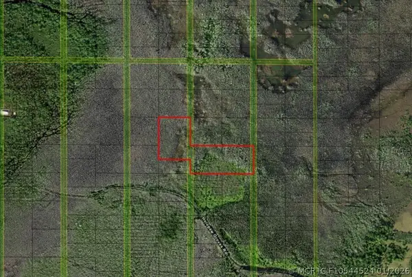 0 Holopaw Groves Road, St Cloud, FL 34772