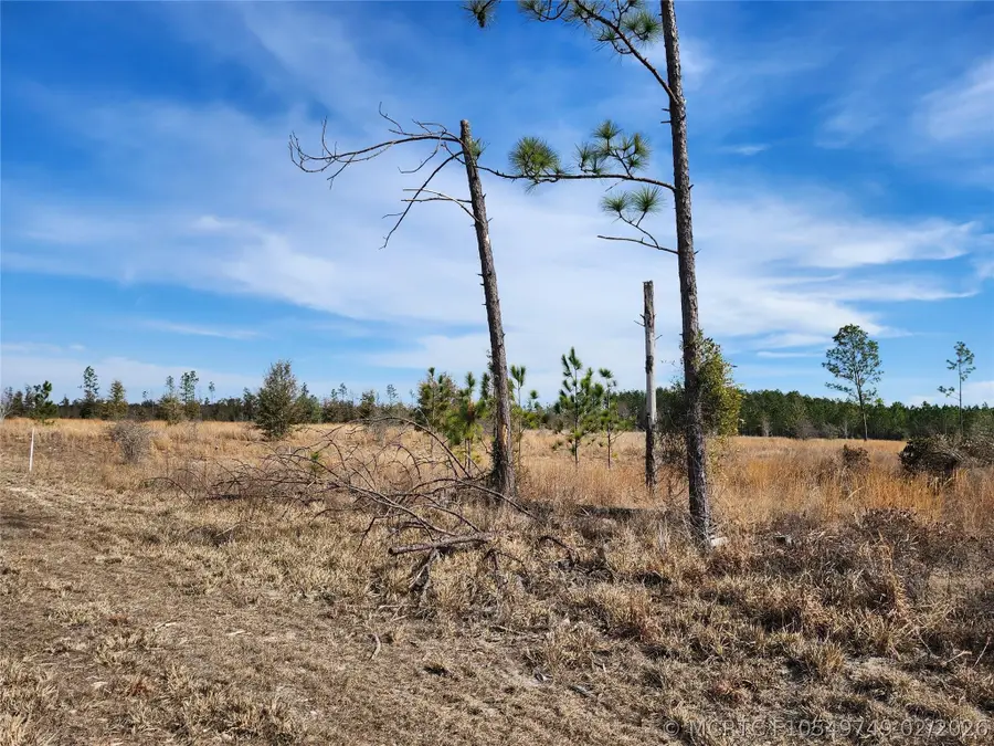 Lot 50 Fl-50, Live Oak, FL 32060 - #2