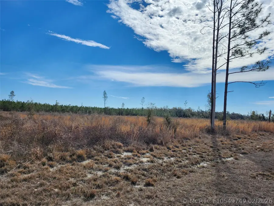 Lot 50 Fl-50, Live Oak, FL 32060 - #3