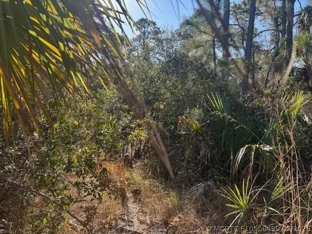 42260 93rd Avenue, Vero Beach, FL 32966 - #2