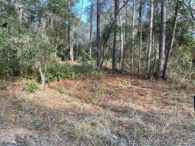 417 Incline, Satsuma, FL 32189 - #1