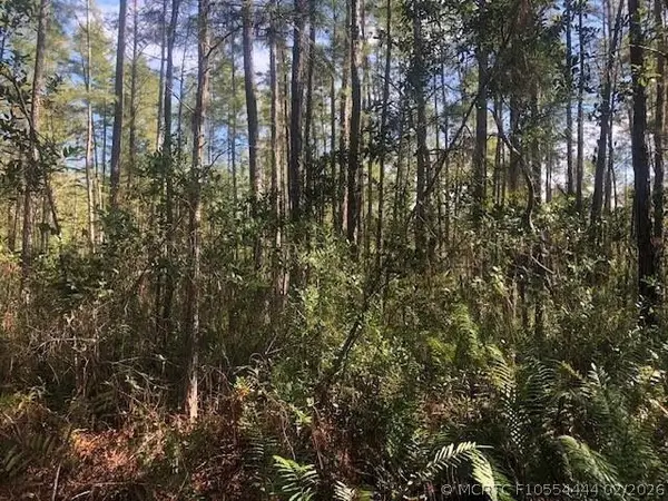 0 Old Grade Road, Polk City, FL 33868