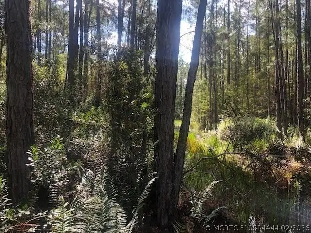 0 Old Grade Road, Polk City, FL 33868 - #2