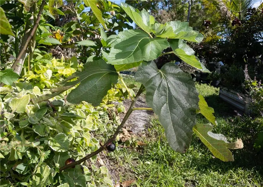 3121 Old Edwards Road, Fort Pierce, FL 34981 - Image #3