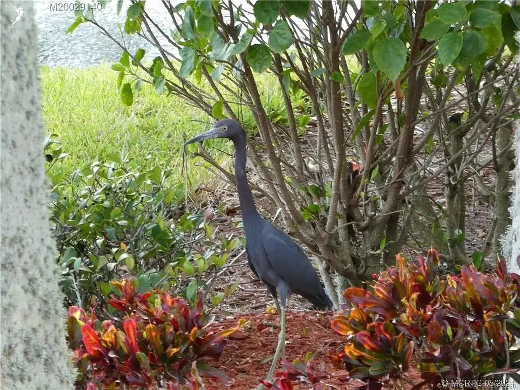 219 NW Chipshot Lane, Port Saint Lucie, FL 34986 - #1