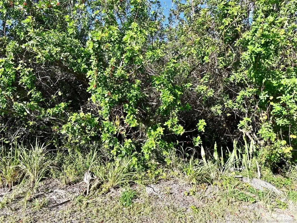 0 River Palm Drive, Fort Pierce, FL 34946 - #1