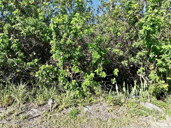 0 River Palm Drive, Fort Pierce, FL 34946