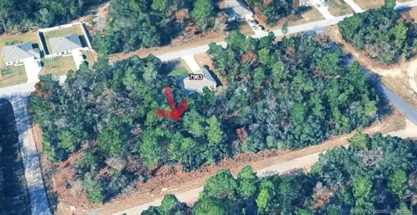 7970 N Bahama Terrace, Dunnellon, FL 34433
