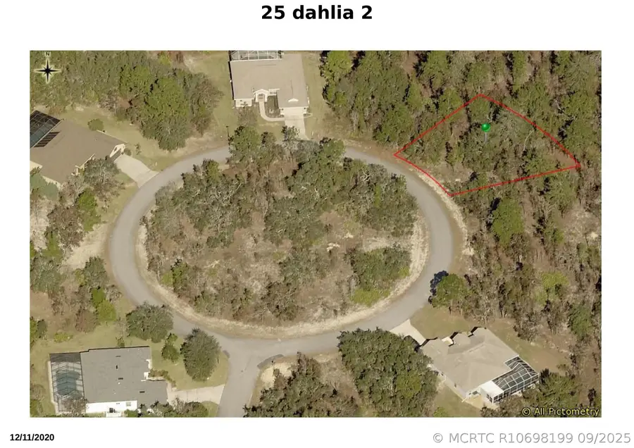 25 Dahlia Court N, Homosassa, FL 34446 - #2