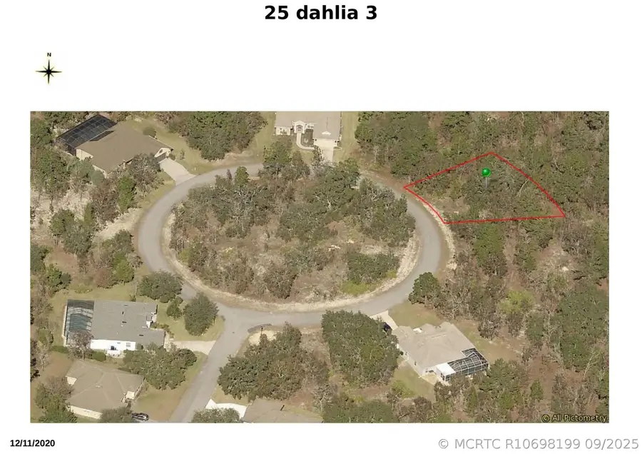 25 Dahlia Court N, Homosassa, FL 34446 - #3