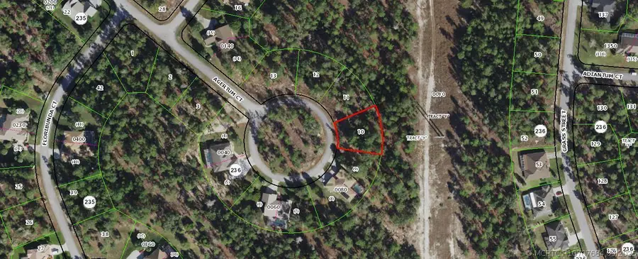 29 Ageratum Court, Homosassa, FL 34446 - #3