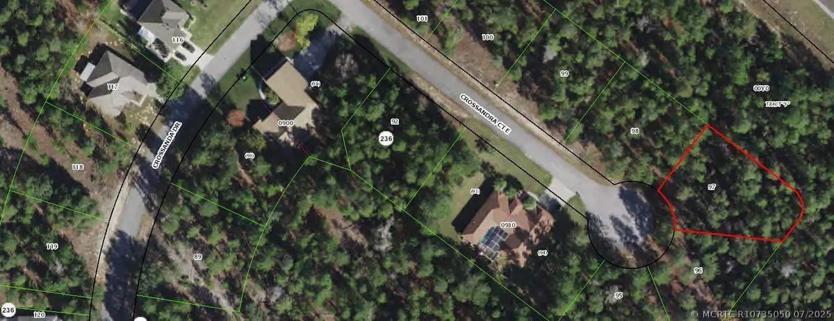 11 Crossandra Court E, Homosassa, FL 34446 - #1
